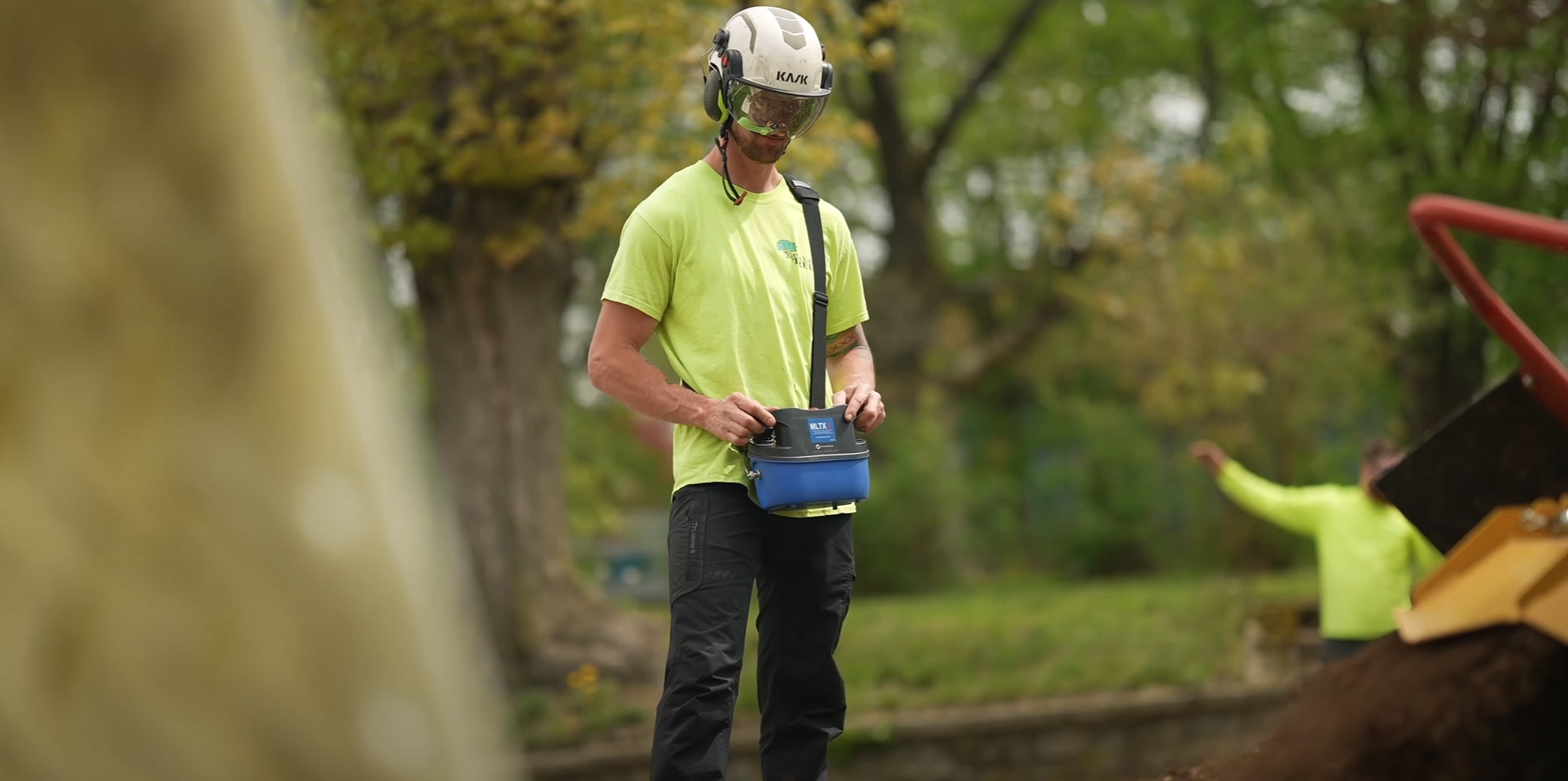 Professional arborist performing seasonal tree trimming in Lynwood, CA